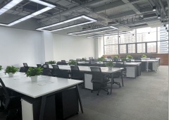 东风北桥地标建筑 东风kaso 精装修带家具 大落地窗